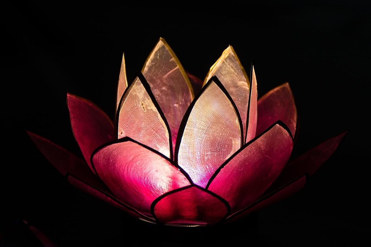 Pink Lotus Apartment Wien Ngoại thất bức ảnh